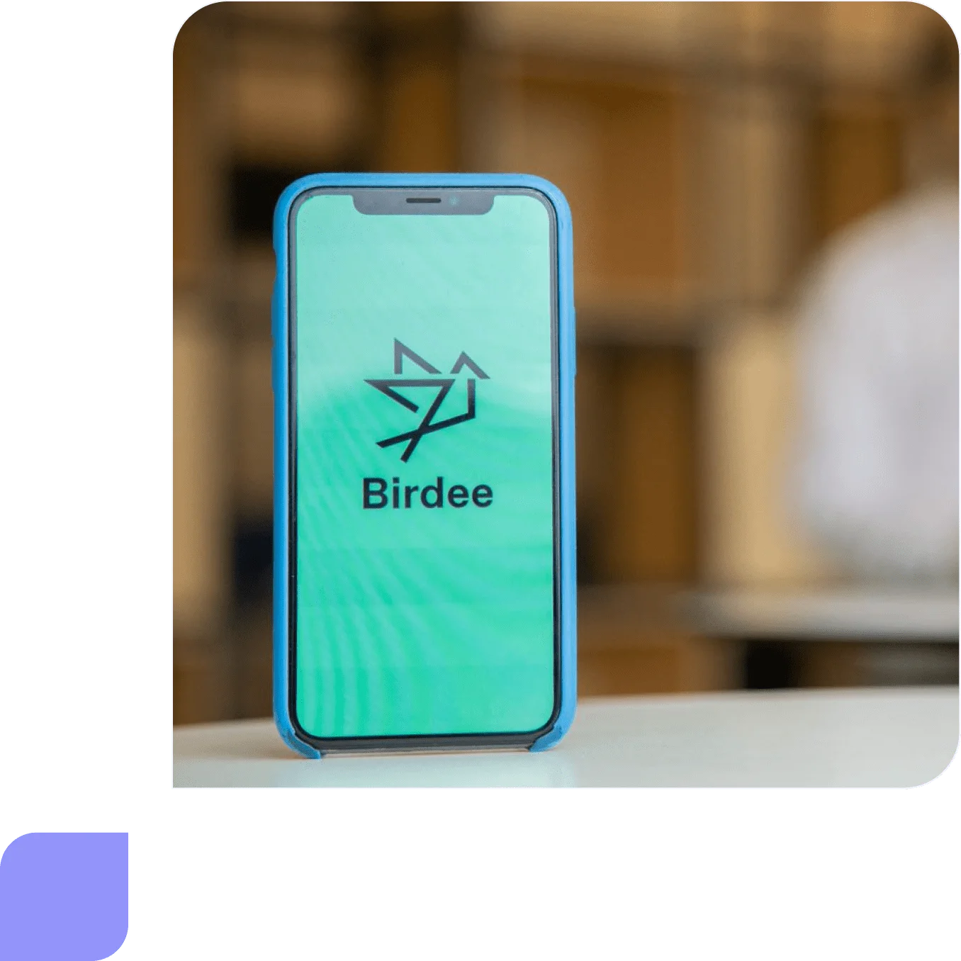 BIRDEE, INVERSIONES SOSTENIBLES